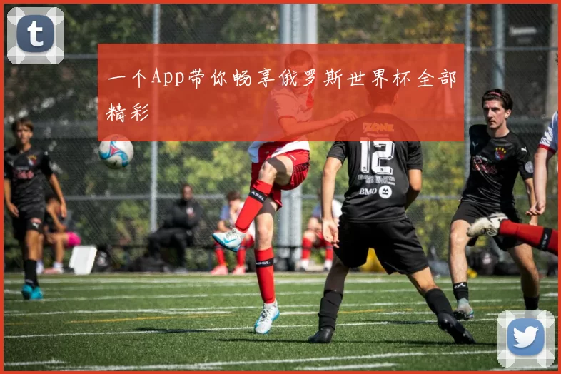 一个App带你畅享俄罗斯世界杯全部精彩
