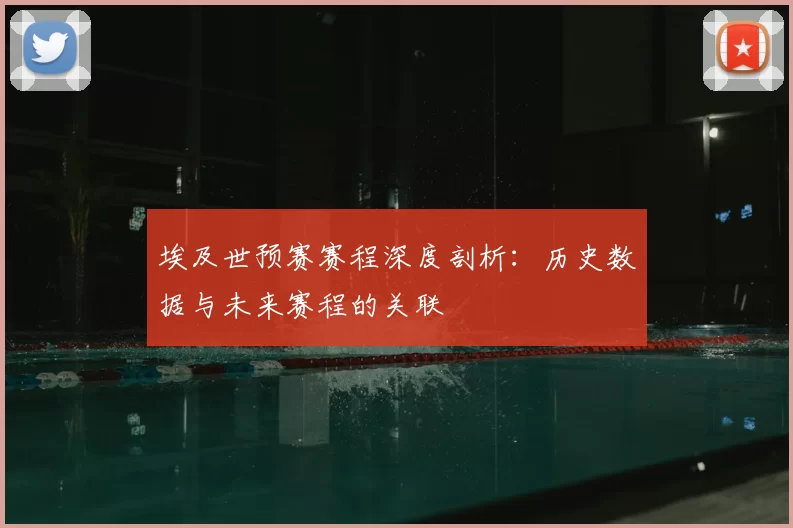 埃及世预赛赛程深度剖析:历史数据与未来赛程的关联