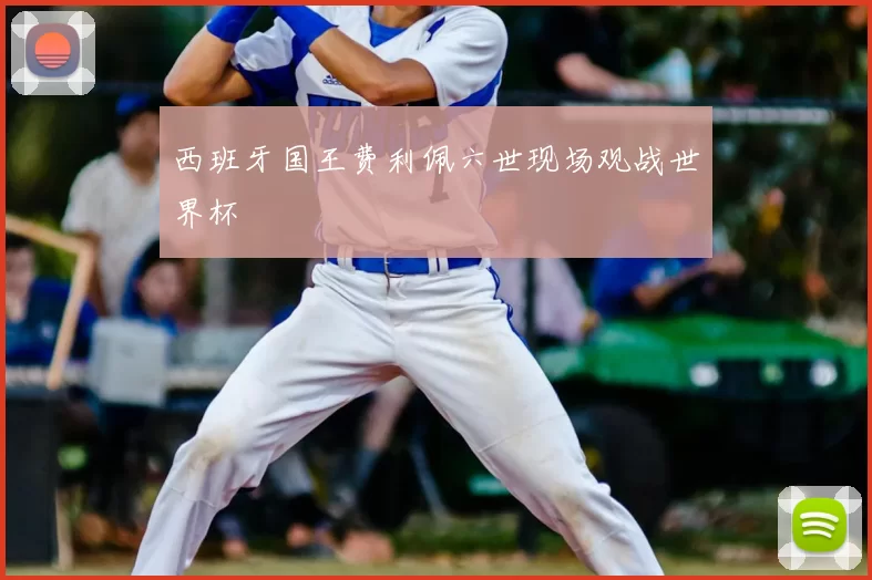 西班牙国王费利佩六世现场观战世界杯