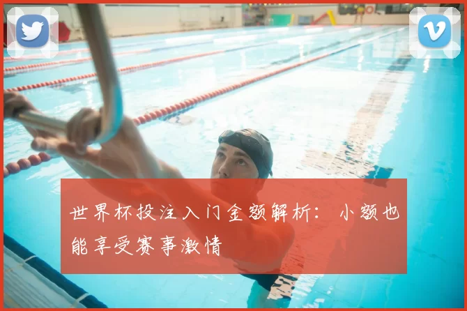世界杯投注入门金额解析：小额也能享受赛事激情