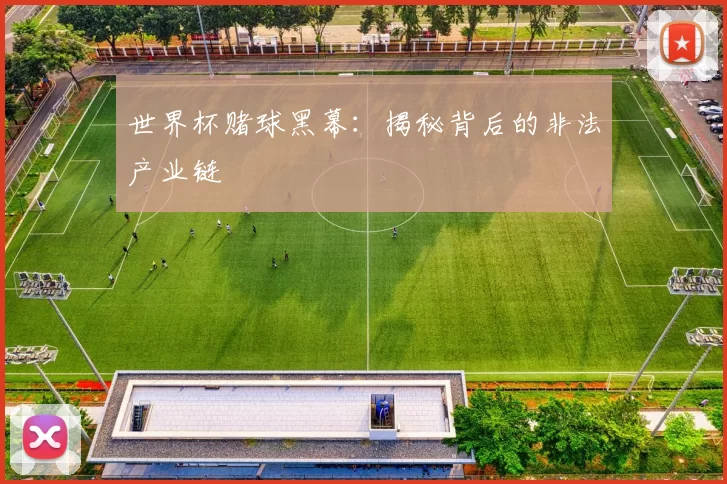世界杯赌球黑幕:揭秘背后的非法产业链