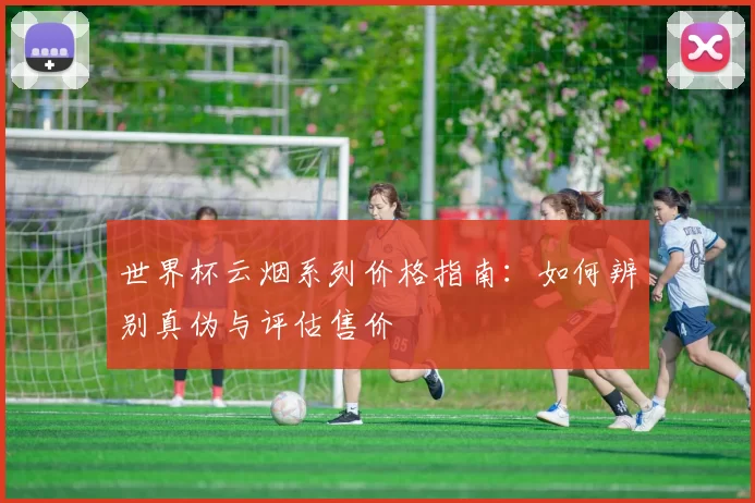 世界杯云烟系列价格指南:如何辨别真伪与评估售价