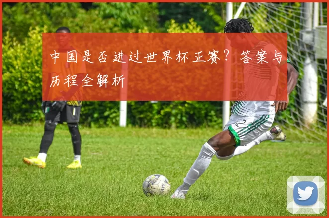 中国是否进过世界杯正赛?答案与历程全解析