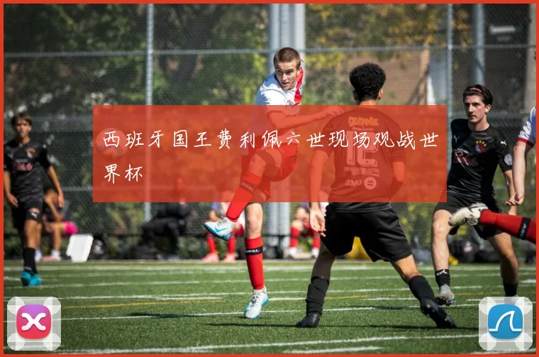 西班牙国王费利佩六世现场观战世界杯