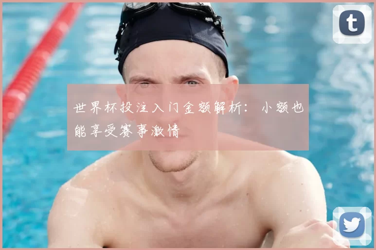 世界杯投注入门金额解析:小额也能享受赛事激情