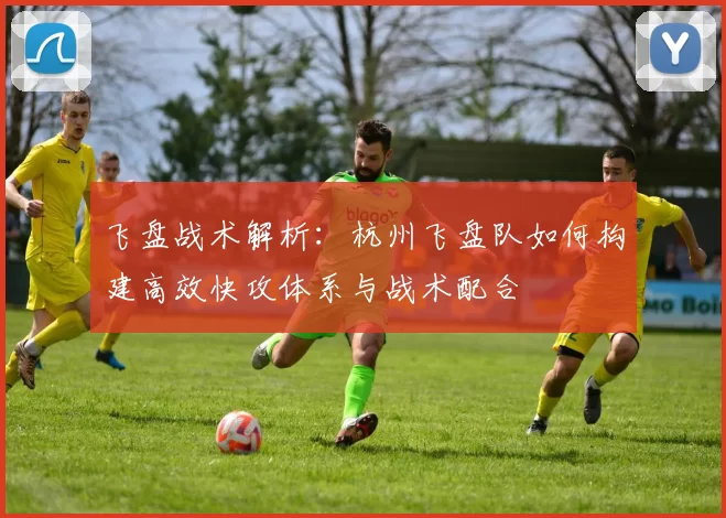 飞盘战术解析:杭州飞盘队如何构建高效快攻体系与战术配合