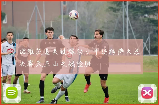 诺维茨基关键球助小牛逆转热火总决赛天王山之战险胜