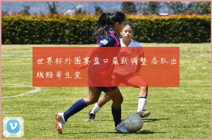世界杯外围赛盘口最新调整 各队出线赔率生变