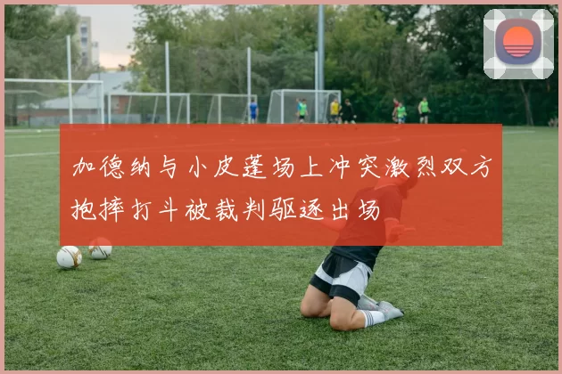 加德纳与小皮蓬场上冲突激烈双方抱摔打斗被裁判驱逐出场