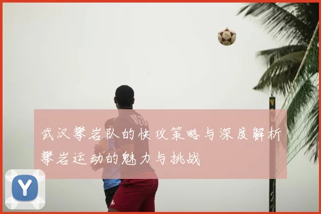 武汉攀岩队的快攻策略与深度解析攀岩运动的魅力与挑战
