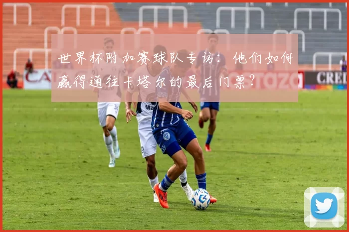 世界杯附加赛球队专访：他们如何赢得通往卡塔尔的最后门票？